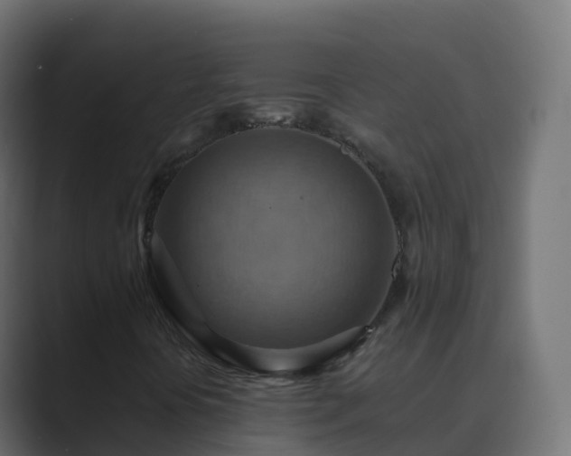 X0000089721394200706281522