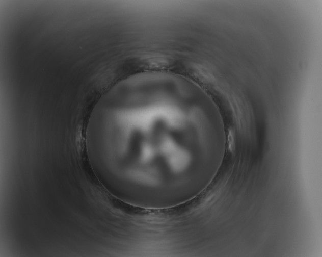 X0000089721395200706281522