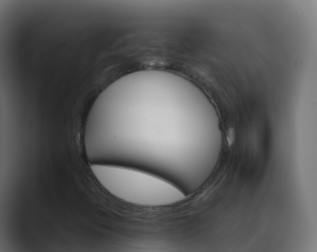X0000089721396200706281522