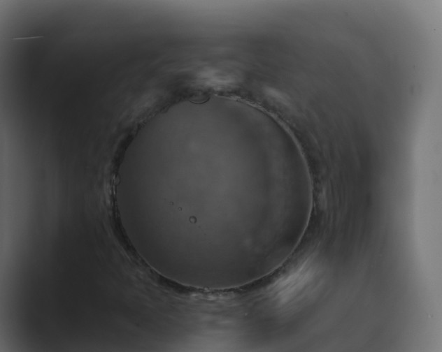 X0000089721397200706281522