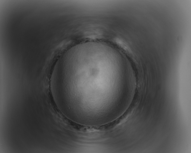 X0000089721398200706281522
