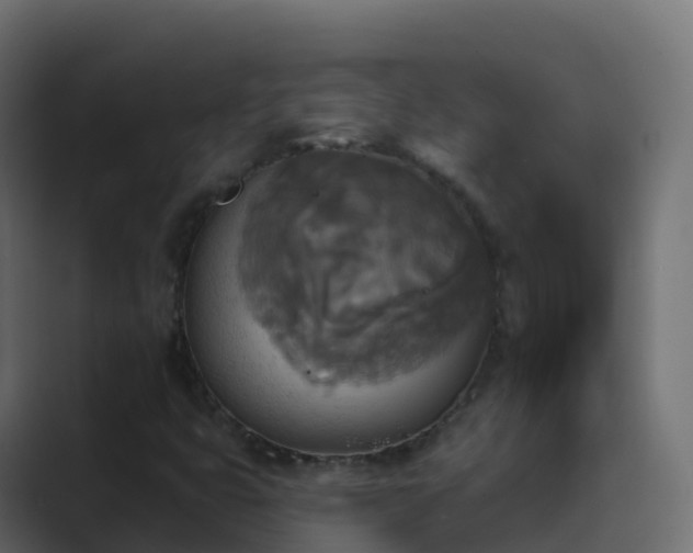 X0000089721399200706281522