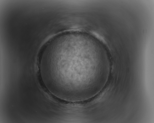 X0000089721400200706281522
