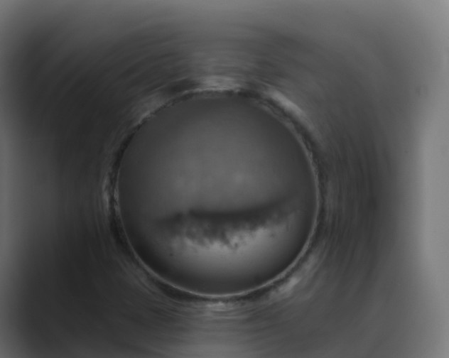 X0000089721401200706281522