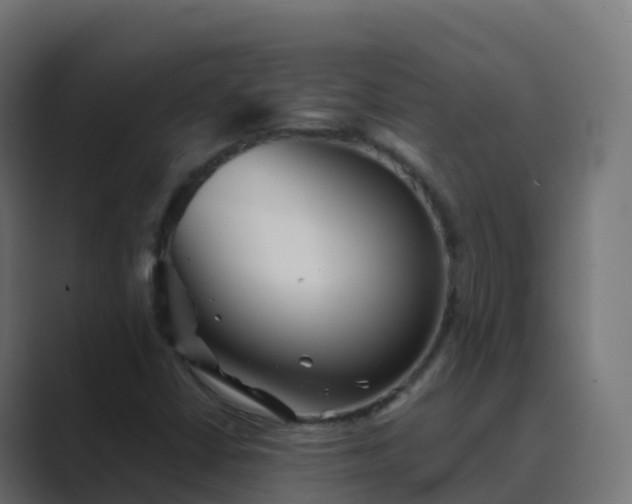 X0000089721402200706281522