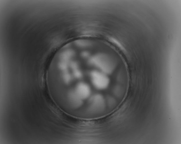 X0000089721403200706281522