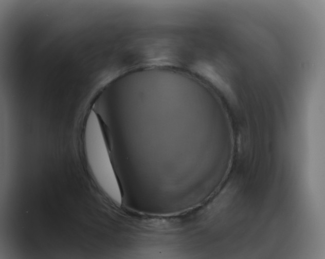 X0000089721405200706281522