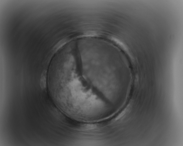 X0000089721409200706281522