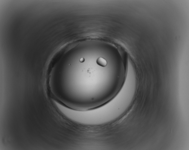 X0000089721410200706281522