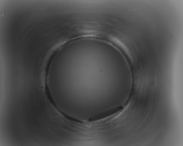 X0000089721411200706281522