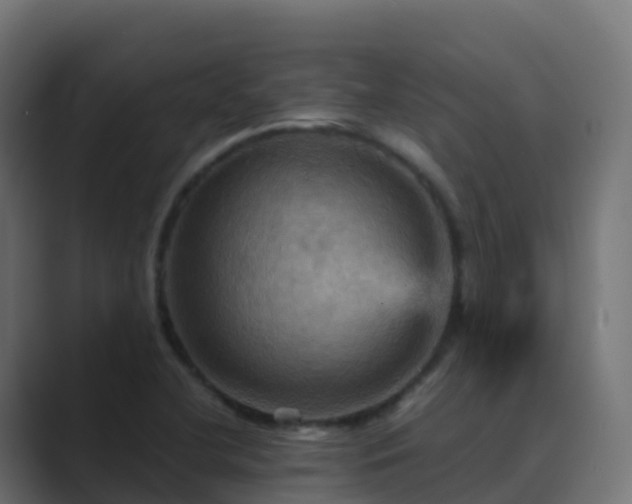 X0000089721412200706281522