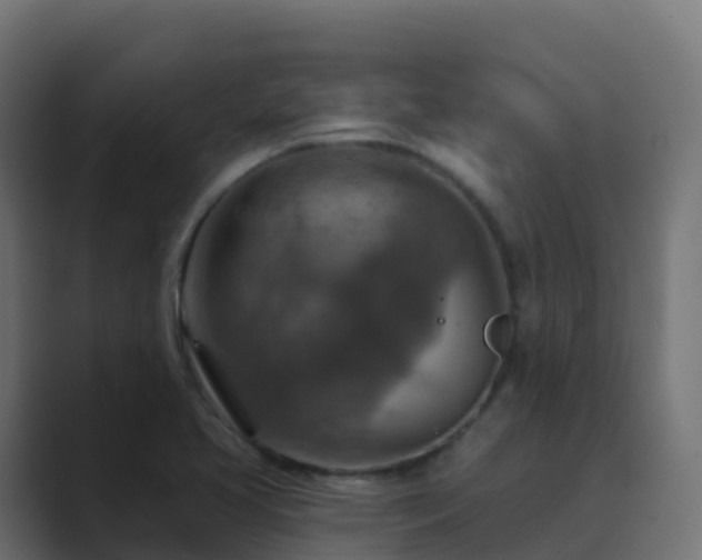 X0000089721413200706281522