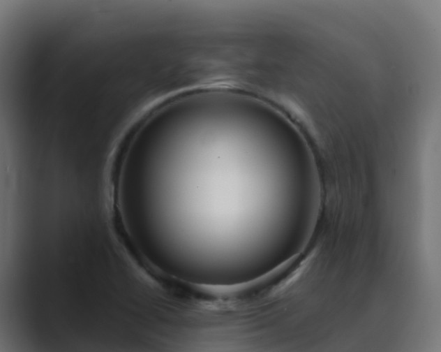 X0000089721414200706281522