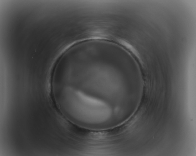 X0000089721415200706281522