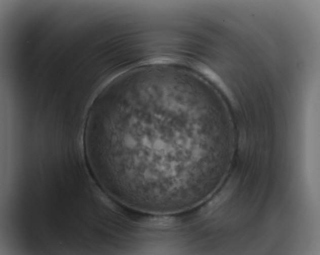 X0000089721417200706281522