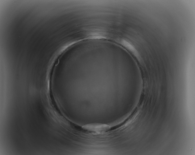 X0000089721419200706281522