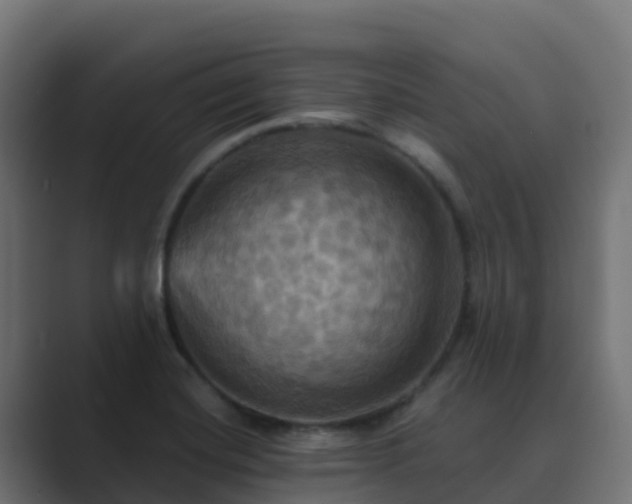 X0000089721420200706281522