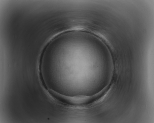 X0000089721422200706281522