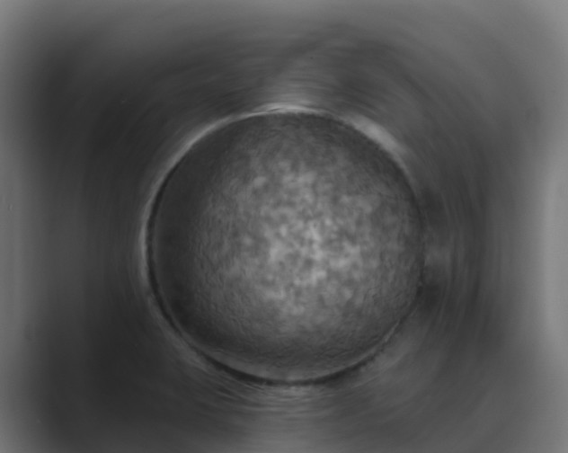 X0000089721423200706281522