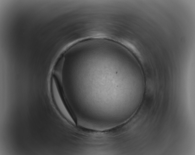 X0000089721424200706281522