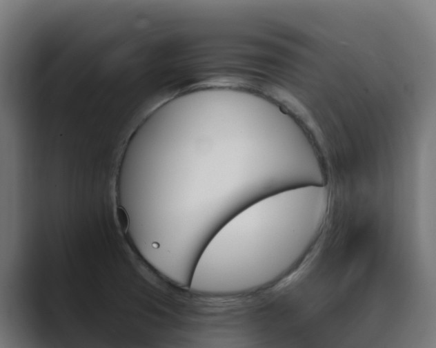 X0000089721425200706281522