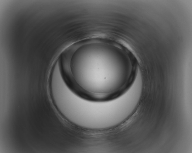 X0000089721426200706281522