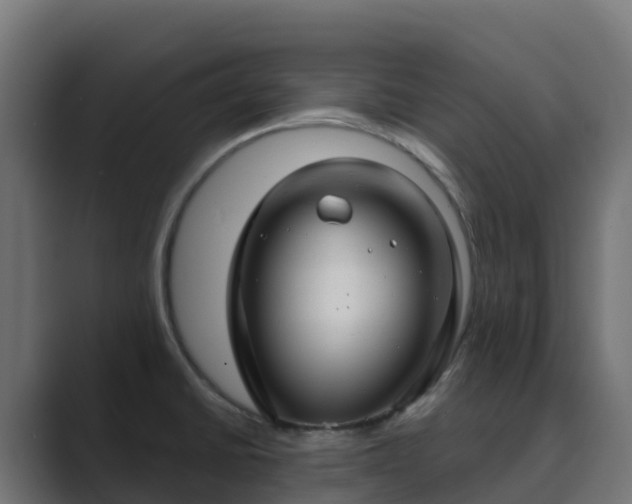 X0000089721430200706281522