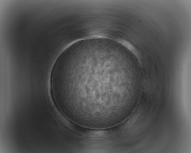 X0000089721431200706281522