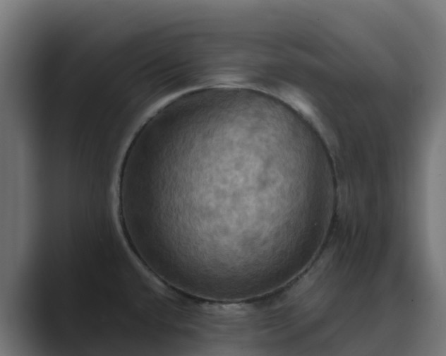 X0000089721432200706281523
