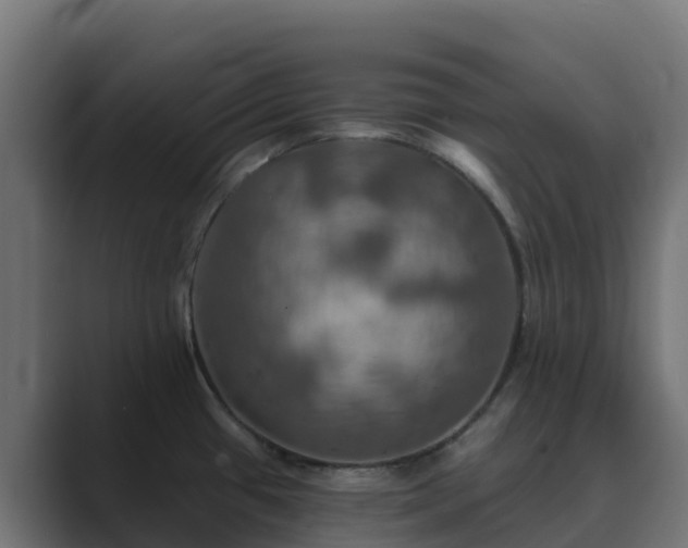 X0000089721433200706281523