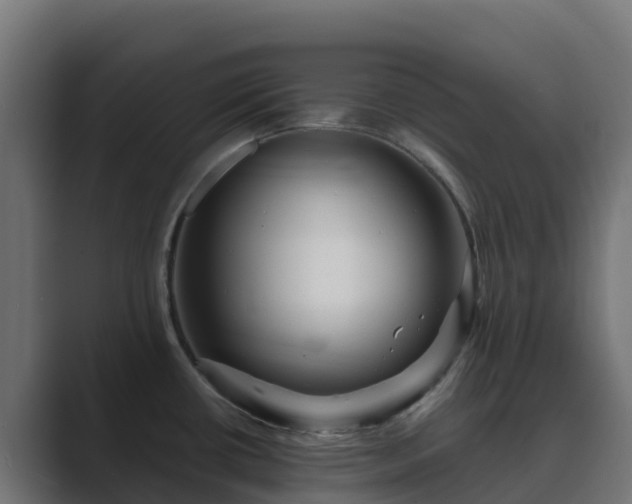 X0000089721434200706281523
