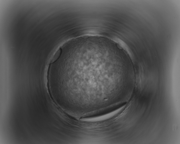 X0000089721435200706281523