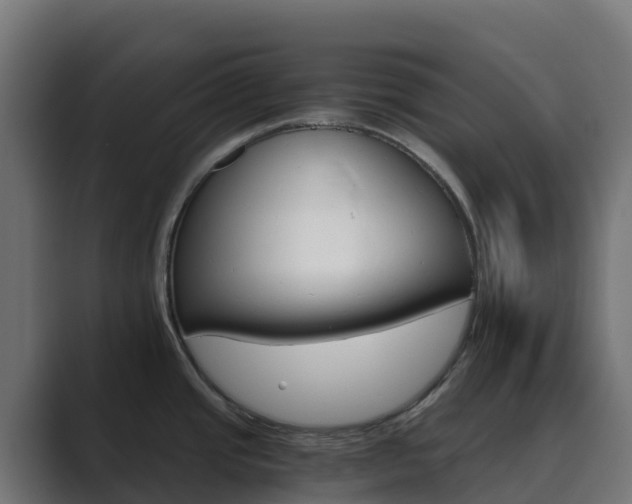 X0000089721437200706281523