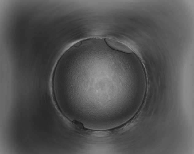 X0000089721440200706281523