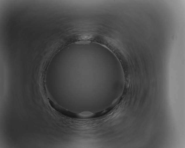 X0000089721441200706281522