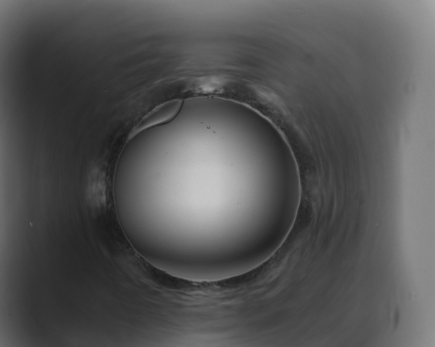 X0000089721442200706281522