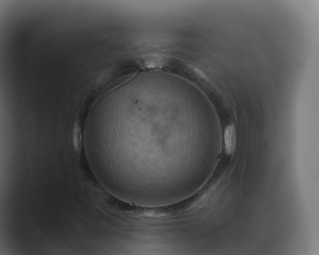 X0000089721443200706281522