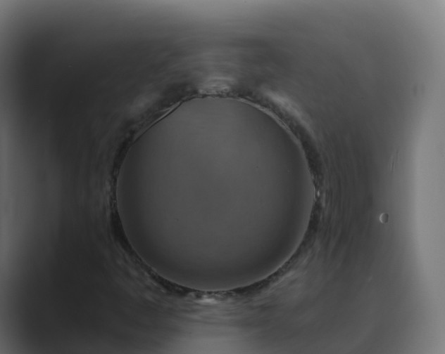 X0000089721445200706281522