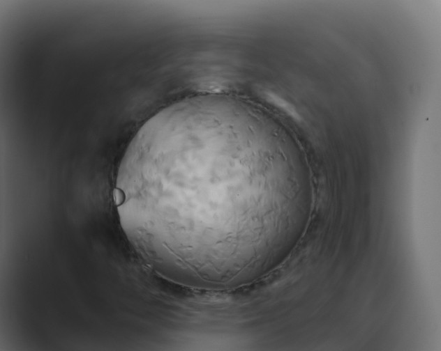 X0000089721446200706281522