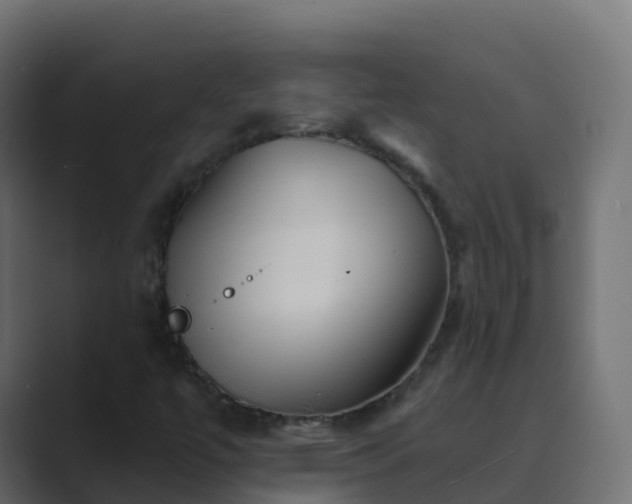 X0000089721447200706281522