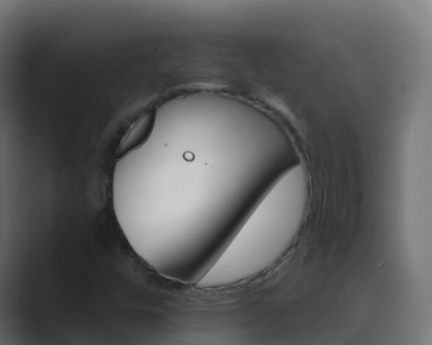 X0000089721448200706281522