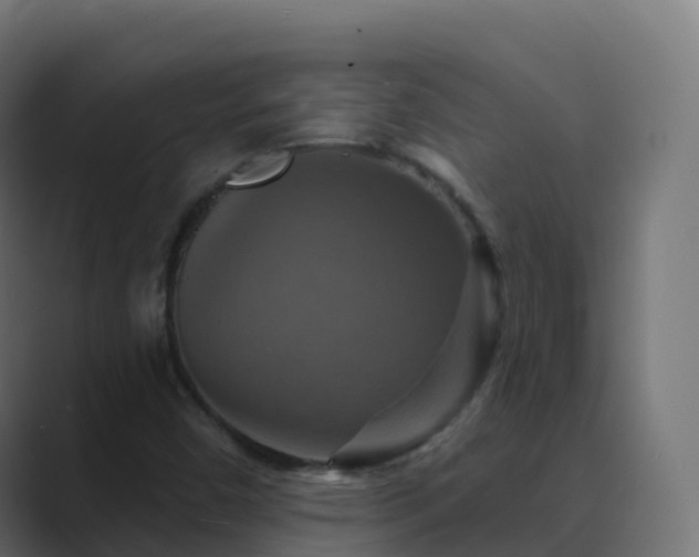 X0000089721450200706281522