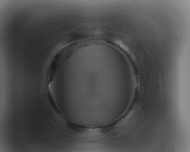 X0000089721453200706281522