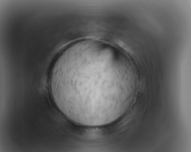 X0000089721454200706281522