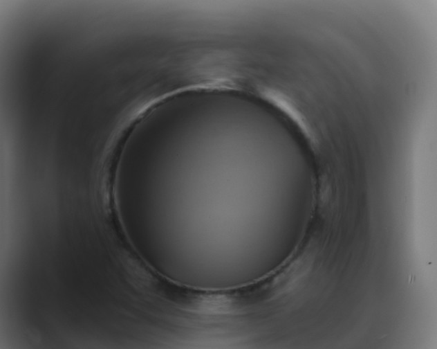 X0000089721455200706281522