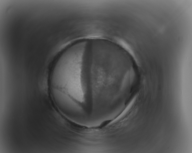 X0000089721456200706281522