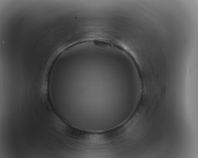 X0000089721459200706281522