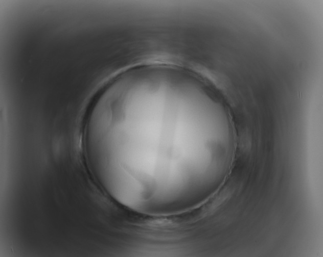 X0000089721462200706281522