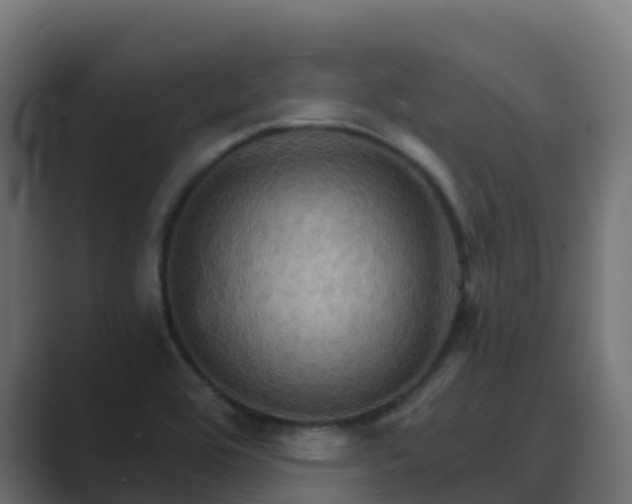 X0000089721464200706281522