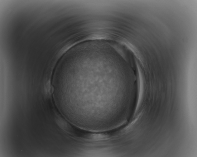 X0000089721465200706281522